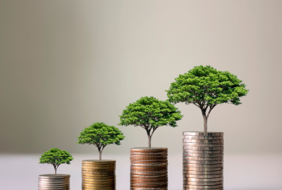 Nati-mortalit‡ delle aziende in provincia di Lecce