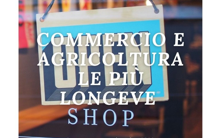 Longevit‡ delle imprese nelle province pugliesi