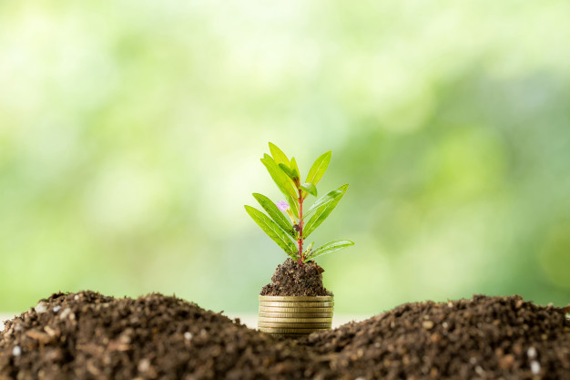 planting-trees-coin-pile-with-sunlight_1150-17719
