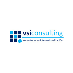 vsiconsulting